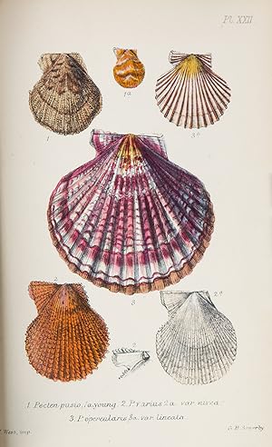 British Conchology or an Account of the Mollusca which now inhabit the British Isles and the surr...