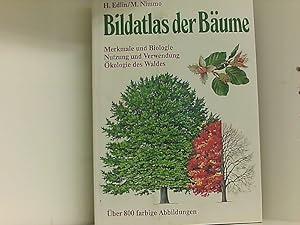 Bild des Verkufers fr Bildatlas der Bume. Merkmale und Biologie. Nutzung und Verwendung. kologie des Waldes zum Verkauf von Book Broker