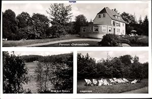 Imagen del vendedor de Ansichtskarte / Postkarte Gremsmhlen Malente in Ostholstein, Pension Diekseeblick, Liegwiese, See - Inhaberin: Frau Toni Fiedler a la venta por akpool GmbH