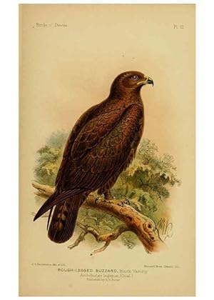 Imagen del vendedor de Reproduccin/Reproduction 6140208699: The birds of Devon London :R.H. Porter,1892 a la venta por EL BOLETIN