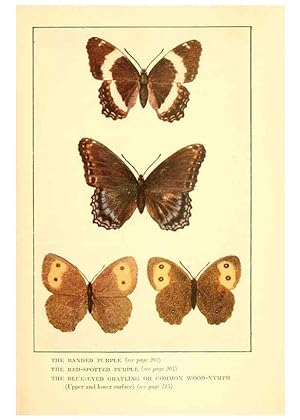 Seller image for Reproduccin/Reproduction 6220531476: .Butterflies worth knowing Garden City, New York,Doubleday, Page & company[c1917] for sale by EL BOLETIN