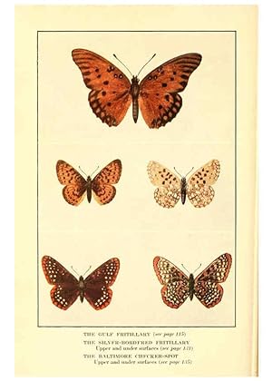 Seller image for Reproduccin/Reproduction 6220007367: .Butterflies worth knowing Garden City, New York,Doubleday, Page & company[c1917] for sale by EL BOLETIN