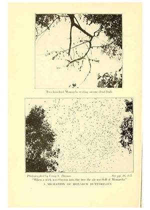 Seller image for Reproduccin/Reproduction 6220524968: .Butterflies worth knowing Garden City, New York,Doubleday, Page & company[c1917] for sale by EL BOLETIN