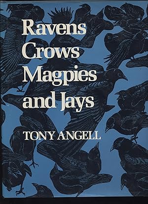 Imagen del vendedor de Ravens, Crows, Magpies and Jays a la venta por Calluna Books