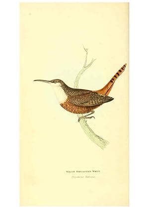 Seller image for Reproduccin/Reproduction 6198173970: Zoological illustrations v.1. London :Baldwin & Cradock,1829-1833 for sale by EL BOLETIN