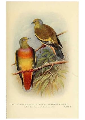 Image du vendeur pour Reproduccin/Reproduction 6197894292: Indian pigeons and doves London,Witherby & Co.,1913 mis en vente par EL BOLETIN