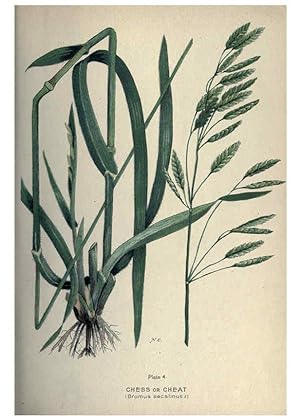 Seller image for Reproduccin/Reproduction 6045751318: Farm weeds of Canada Ottawa :Dept. of Agriculture,1923 for sale by EL BOLETIN