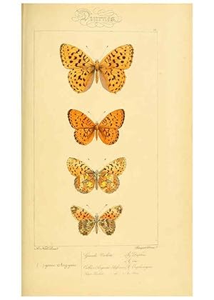 Seller image for Reproduccin/Reproduction 6053275311: Histoire naturelle des lpidoptres dEurope Paris :L. de Bure,1845 for sale by EL BOLETIN