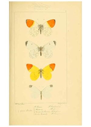 Seller image for Reproduccin/Reproduction 6053795594: Histoire naturelle des lpidoptres dEurope Paris :L. de Bure,1845 for sale by EL BOLETIN