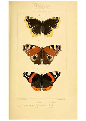 Seller image for Reproduccin/Reproduction 6053240027: Histoire naturelle des lpidoptres dEurope Paris :L. de Bure,1845 for sale by EL BOLETIN