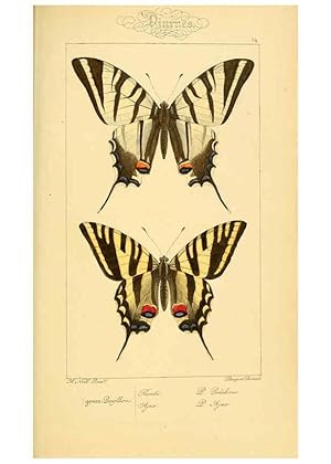 Seller image for Reproduccin/Reproduction 6053822814: Histoire naturelle des lpidoptres dEurope Paris :L. de Bure,1845 for sale by EL BOLETIN