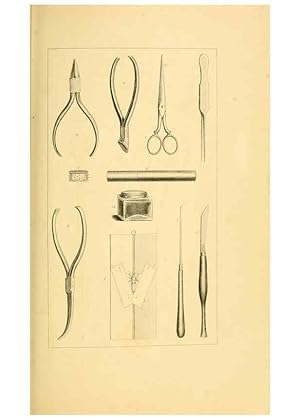 Seller image for Reproduccin/Reproduction 6053789346: Histoire naturelle des lpidoptres dEurope Paris :L. de Bure,1845 for sale by EL BOLETIN