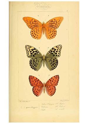 Seller image for Reproduccin/Reproduction 6053825858: Histoire naturelle des lpidoptres dEurope Paris :L. de Bure,1845 for sale by EL BOLETIN