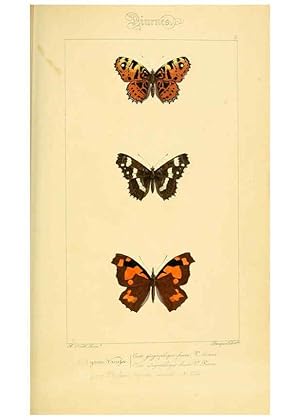 Seller image for Reproduccin/Reproduction 6053243157: Histoire naturelle des lpidoptres dEurope Paris :L. de Bure,1845 for sale by EL BOLETIN