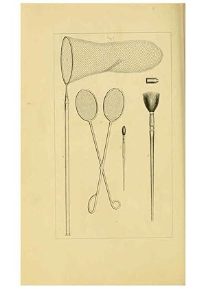 Seller image for Reproduccin/Reproduction 6053238733: Histoire naturelle des lpidoptres dEurope Paris :L. de Bure,1845 for sale by EL BOLETIN