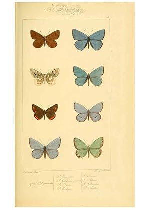 Seller image for Reproduccin/Reproduction 6053832424: Histoire naturelle des lpidoptres dEurope Paris :L. de Bure,1845 for sale by EL BOLETIN