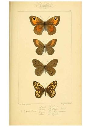 Seller image for Reproduccin/Reproduction 6053840126: Histoire naturelle des lpidoptres dEurope Paris :L. de Bure,1845 for sale by EL BOLETIN