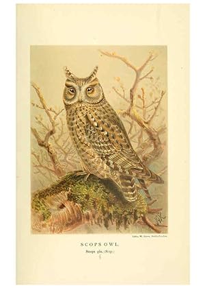 Seller image for Reproduccin/Reproduction 6029173914: Coloured figures of the birds of the British Islands. v.1 London :R. H. Porter,1885-1897 for sale by EL BOLETIN