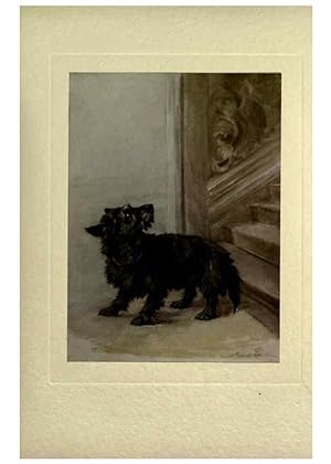 Imagen del vendedor de Reproduccin/Reproduction 6073911602: The power of the dog London :Hodder and Stoughton,[1910 or 1911.] a la venta por EL BOLETIN