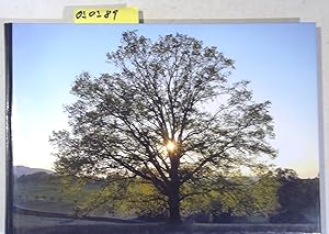 Seller image for Die Eiche - Knigin aller Bume / The Oak - Sovereign among the Trees for sale by Antiquariat Trger