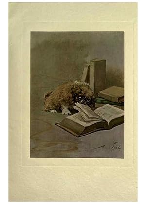 Image du vendeur pour Reproduccin/Reproduction 6073915686: The power of the dog London :Hodder and Stoughton,[1910 or 1911.] mis en vente par EL BOLETIN