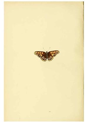 Bild des Verkufers fr Reproduccin/Reproduction 6073069281: A history of British butterflies London :John C. Nimmo,1890 zum Verkauf von EL BOLETIN