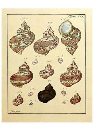 Immagine del venditore per Reproduccin/Reproduction 6077148838: Nicolaus Georg Gevens Conchylien-Cabinet Lneburg :Bei Herold und Wahlstab,1830 venduto da EL BOLETIN