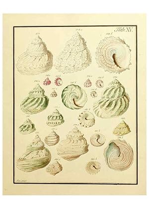 Imagen del vendedor de Reproduccin/Reproduction 6076609515: Nicolaus Georg Gevens Conchylien-Cabinet Lneburg :Bei Herold und Wahlstab,1830 a la venta por EL BOLETIN