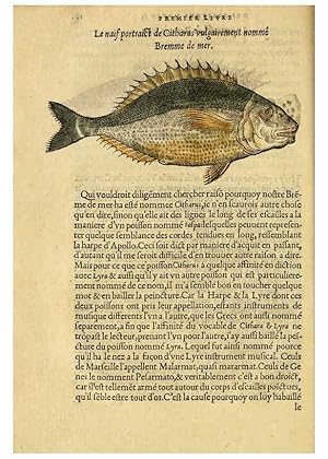 Immagine del venditore per Reproduccin/Reproduction 5998390221: Lhistoire naturelle des estranges poissons marins A Paris :De limprimerie de Regnaud Chaudiere,1551 venduto da EL BOLETIN