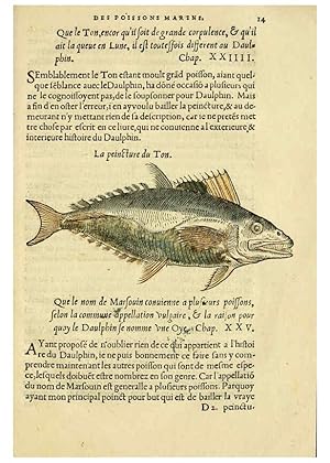 Immagine del venditore per Reproduccin/Reproduction 5998937590: Lhistoire naturelle des estranges poissons marins A Paris :De limprimerie de Regnaud Chaudiere,1551 venduto da EL BOLETIN