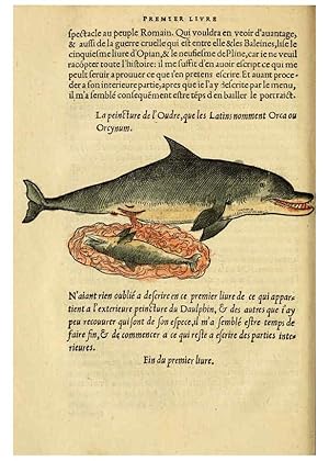 Immagine del venditore per Reproduccin/Reproduction 5998392399: Lhistoire naturelle des estranges poissons marins A Paris :De limprimerie de Regnaud Chaudiere,1551 venduto da EL BOLETIN