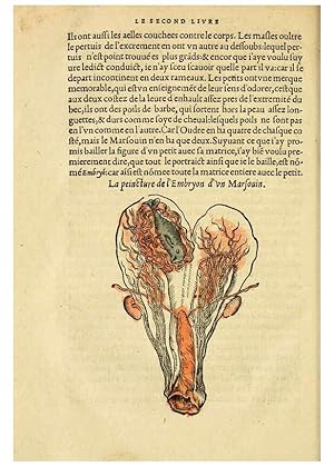 Immagine del venditore per Reproduccin/Reproduction 5998392937: Lhistoire naturelle des estranges poissons marins A Paris :De limprimerie de Regnaud Chaudiere,1551 venduto da EL BOLETIN