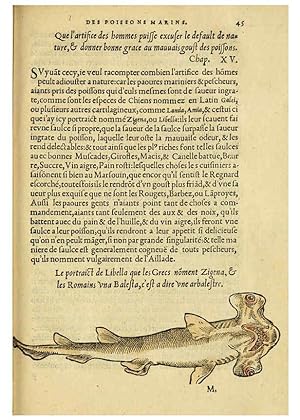 Immagine del venditore per Reproduccin/Reproduction 5998393259: Lhistoire naturelle des estranges poissons marins A Paris :De limprimerie de Regnaud Chaudiere,1551 venduto da EL BOLETIN