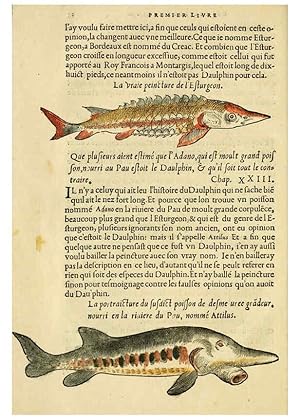 Immagine del venditore per Reproduccin/Reproduction 5998389357: Lhistoire naturelle des estranges poissons marins A Paris :De limprimerie de Regnaud Chaudiere,1551 venduto da EL BOLETIN