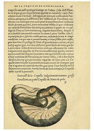 Immagine del venditore per Reproduccin/Reproduction 5998395091: Lhistoire naturelle des estranges poissons marins A Paris :De limprimerie de Regnaud Chaudiere,1551 venduto da EL BOLETIN