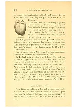 Imagen del vendedor de Reproduccin/Reproduction 6002100111: The field and garden vegetables of America Boston,Crosby and Nichols,1863 a la venta por EL BOLETIN