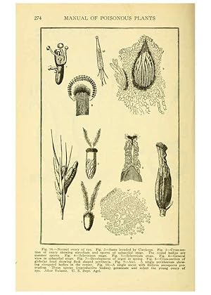 Seller image for Reproduccin/Reproduction 6004763009: A manual of poisonous plants Cedar Rapids, Ia. :The Torch Press,1910-11 for sale by EL BOLETIN