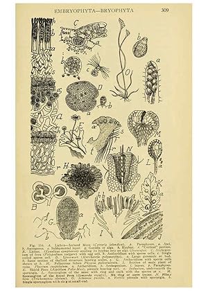 Seller image for Reproduccin/Reproduction 6005308698: A manual of poisonous plants Cedar Rapids, Ia. :The Torch Press,1910-11 for sale by EL BOLETIN