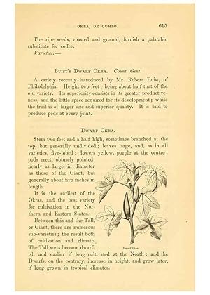 Imagen del vendedor de Reproduccin/Reproduction 6002099787: The field and garden vegetables of America Boston,Crosby and Nichols,1863 a la venta por EL BOLETIN