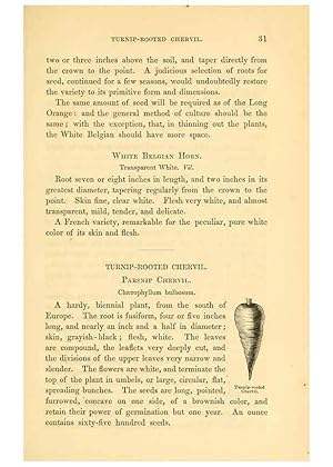 Imagen del vendedor de Reproduccin/Reproduction 6002088263: The field and garden vegetables of America Boston,Crosby and Nichols,1863 a la venta por EL BOLETIN