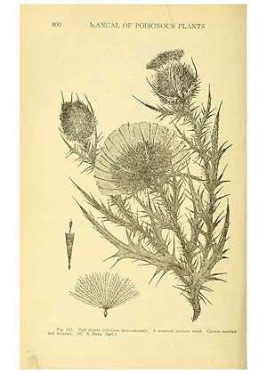 Seller image for Reproduccin/Reproduction 6005315336: A manual of poisonous plants Cedar Rapids, Ia. :The Torch Press,1910-11 for sale by EL BOLETIN