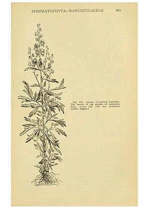 Seller image for Reproduccin/Reproduction 6005311838: A manual of poisonous plants Cedar Rapids, Ia. :The Torch Press,1910-11 for sale by EL BOLETIN