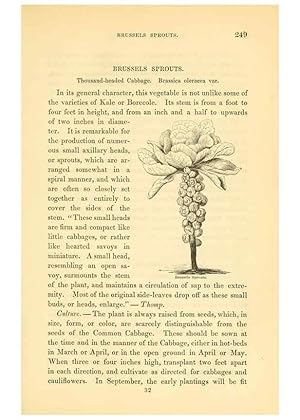 Imagen del vendedor de Reproduccin/Reproduction 6002644420: The field and garden vegetables of America Boston,Crosby and Nichols,1863 a la venta por EL BOLETIN