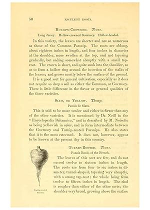 Imagen del vendedor de Reproduccin/Reproduction 6002635936: The field and garden vegetables of America Boston,Crosby and Nichols,1863 a la venta por EL BOLETIN