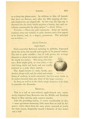 Imagen del vendedor de Reproduccin/Reproduction 6002102767: The field and garden vegetables of America Boston,Crosby and Nichols,1863 a la venta por EL BOLETIN