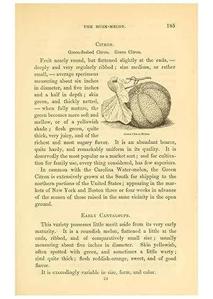 Imagen del vendedor de Reproduccin/Reproduction 6002640882: The field and garden vegetables of America Boston,Crosby and Nichols,1863 a la venta por EL BOLETIN