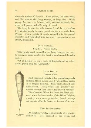 Imagen del vendedor de Reproduccin/Reproduction 6002634356: The field and garden vegetables of America Boston,Crosby and Nichols,1863 a la venta por EL BOLETIN