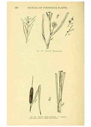 Seller image for Reproduccin/Reproduction 6005309592: A manual of poisonous plants Cedar Rapids, Ia. :The Torch Press,1910-11 for sale by EL BOLETIN