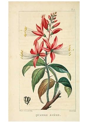 Bild des Verkufers fr Reproduccin/Reproduction 6004844049: Flore pittoresque et me?dicale des Antilles v.1 Paris Pichard,1821-1829 zum Verkauf von EL BOLETIN