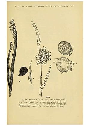 Seller image for Reproduccin/Reproduction 6005305884: A manual of poisonous plants Cedar Rapids, Ia. :The Torch Press,1910-11 for sale by EL BOLETIN